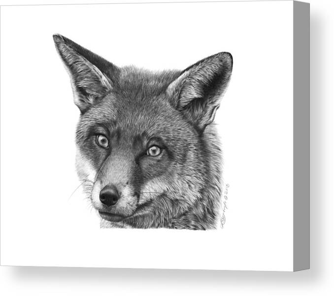 Fox Canvas Print featuring the drawing 044 Vixie the Fox by Abbey Noelle