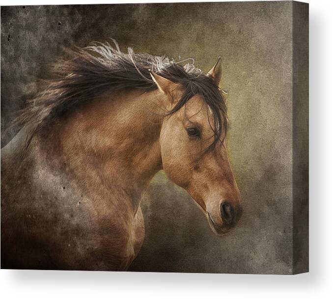 Equine Canvas Print featuring the photograph Chase the Wind #1 by Ron McGinnis