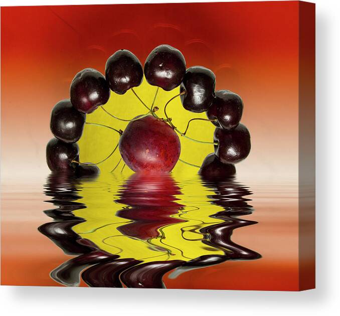 Fresh Fruit Canvas Print featuring the photograph Fresh Cherries and Plums #1 by David French