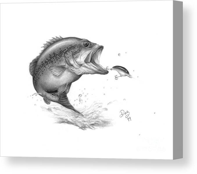 Large Mouth Bass Canvas Print featuring the drawing Large Mouth Bass by Larry-DEZ- Dismang