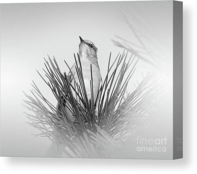 Christian Canvas Print featuring the photograph Majestic #2 by Anita Oakley
