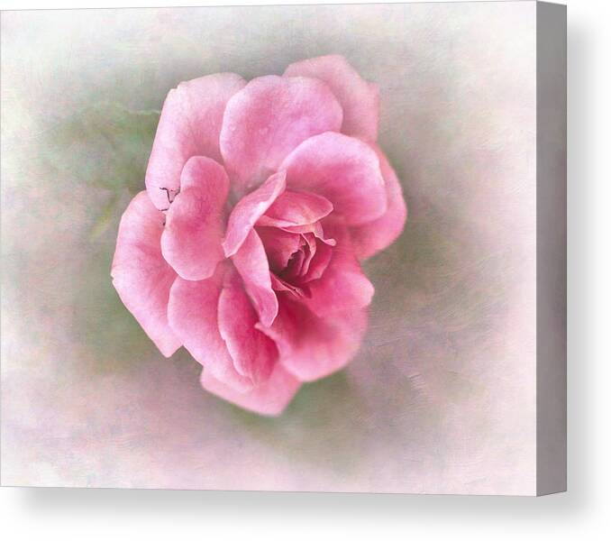 Bloom Canvas Print featuring the photograph Miniature Rose II #1 by David and Carol Kelly