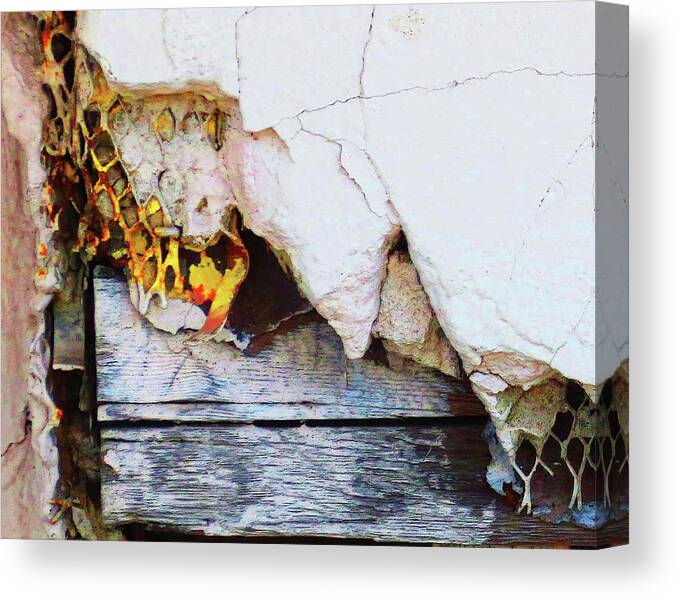 Peeling Paint Canvas Print featuring the photograph Peel #1 by Jessica Levant
