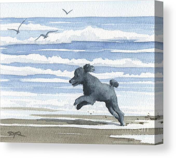 Poodle Canvas Print featuring the painting Poodle at the Beach #4 by David Rogers