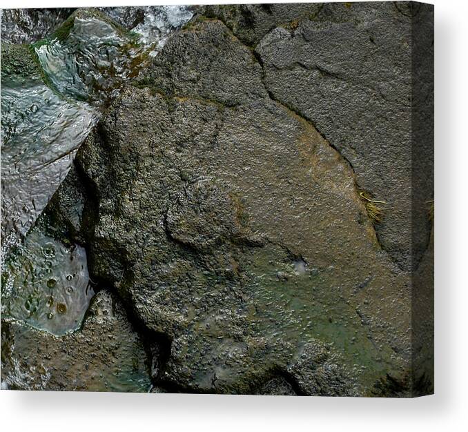Stone Canvas Print featuring the photograph Water and Stone #1 by Marilynne Bull