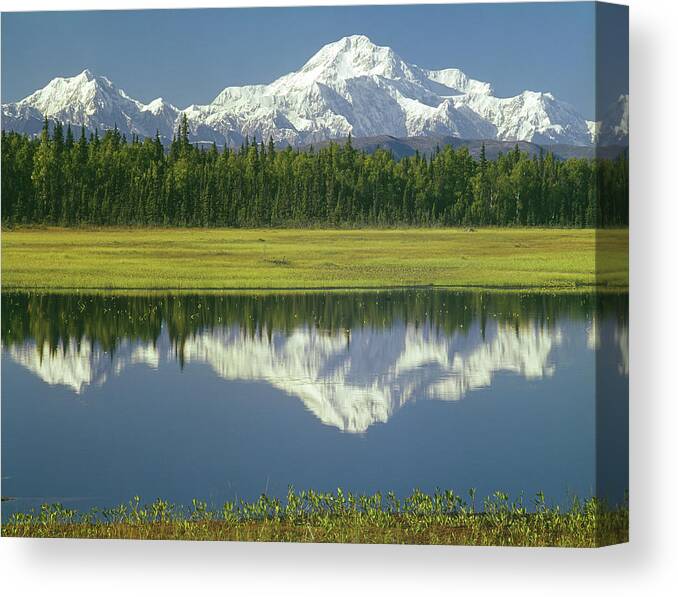 Mt. Hunter Canvas Print featuring the photograph 1M1325 Mt. Hunter and Mt. Denali by Ed Cooper Photography