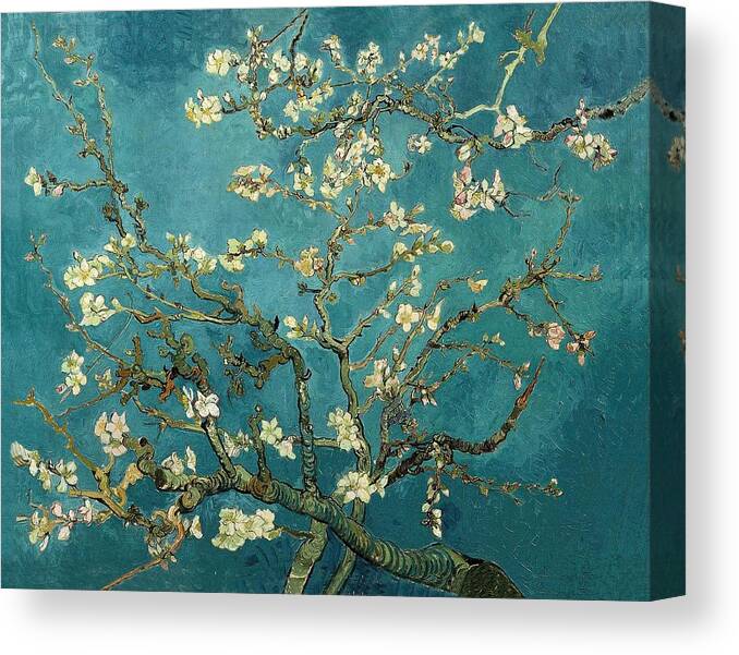 Vincent Van Gogh Canvas Print featuring the painting Blossoming Almond Tree #2 by Vincent Van Gogh