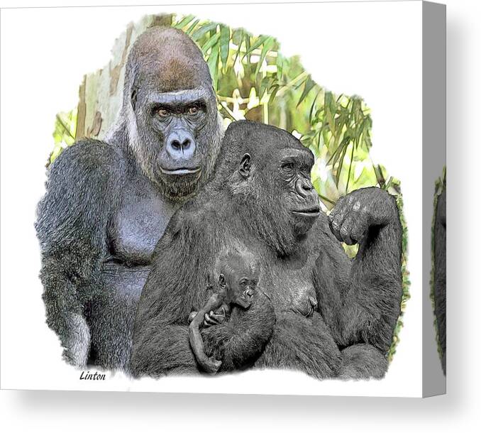 Gorilla Canvas Print featuring the digital art Family Portrait #2 by Larry Linton