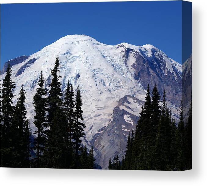 National Park Canvas Print featuring the photograph Mount Rainier #2 by Sonja Anderson