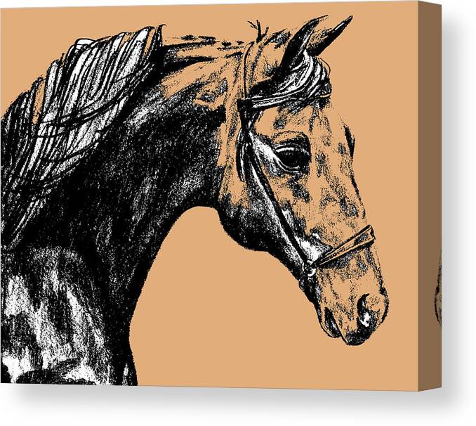 1789 Canvas Print featuring the photograph Woodbury Taupes by Dressage Design