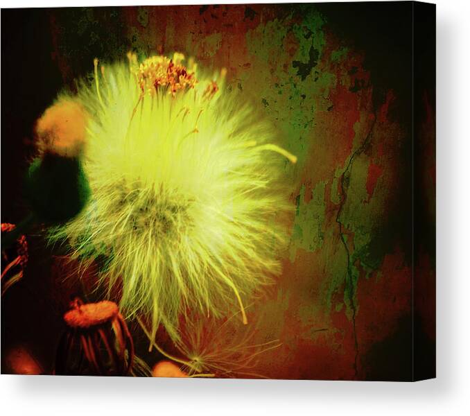 Texture Canvas Print featuring the photograph Texture Flowers #23 by Prince Andre Faubert