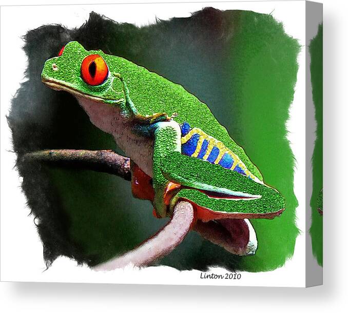 Red-eeyed Leaf Frog Canvas Print featuring the digital art Red-eyed Leaf Frog #5 by Larry Linton