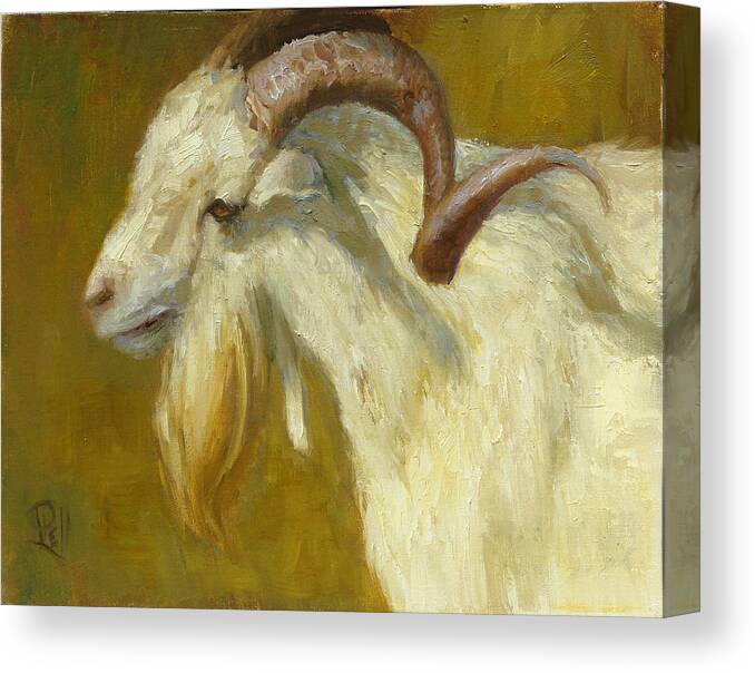 Goat Canvas Print featuring the painting A Little Beauty by Lilli Pell