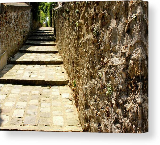 Stone Passage Way Canvas Print featuring the photograph A Passage Less Traveled by Lauren Serene