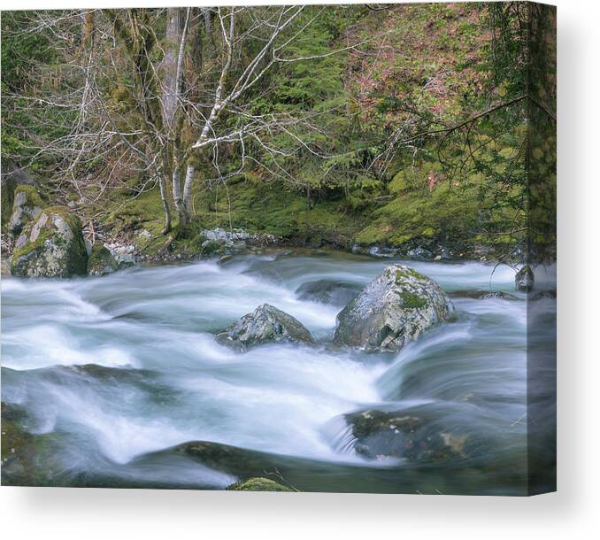 Opal Creek Canvas Print featuring the photograph A River Runs Through It by Catherine Avilez