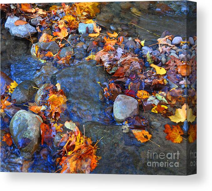 Berry Canvas Print featuring the photograph Adirondack Autumn Stream by Diane E Berry