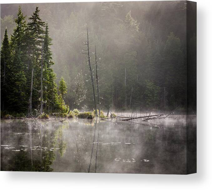 Art Canvas Print featuring the photograph Adirondack Dream by Gary Migues
