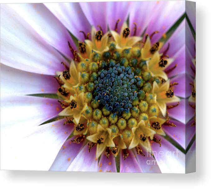 Floral Canvas Print featuring the photograph African splendour by Baggieoldboy