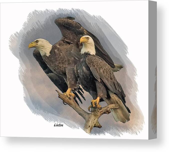 Eagle Canvas Print featuring the digital art American Bald Eagle Pair by Larry Linton