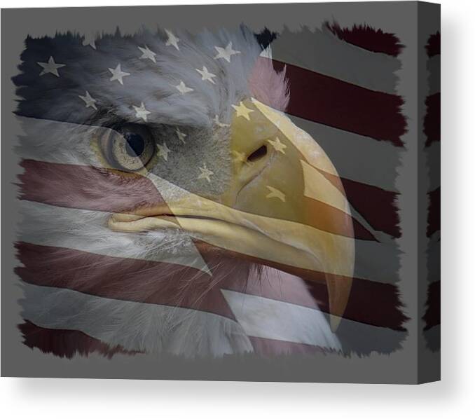 Eagle And Flag Canvas Print featuring the photograph American Pride 3 by Ernest Echols