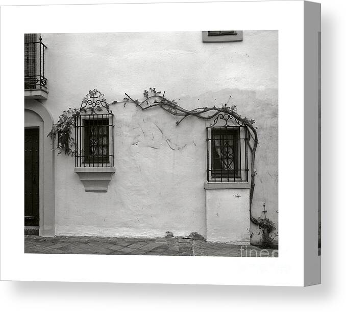 Andalucia Canvas Print featuring the photograph Andalucia Wall by Thomas Marchessault