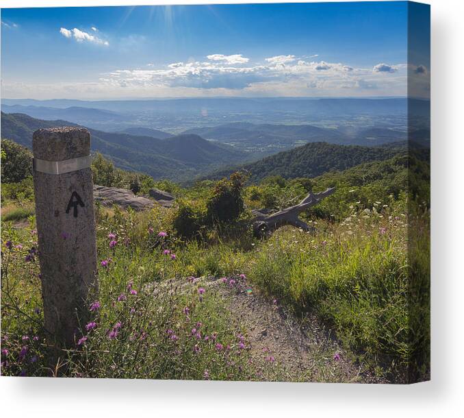 Shenandoah Canvas Print featuring the photograph Appalacian Trail by Chris Marcussen