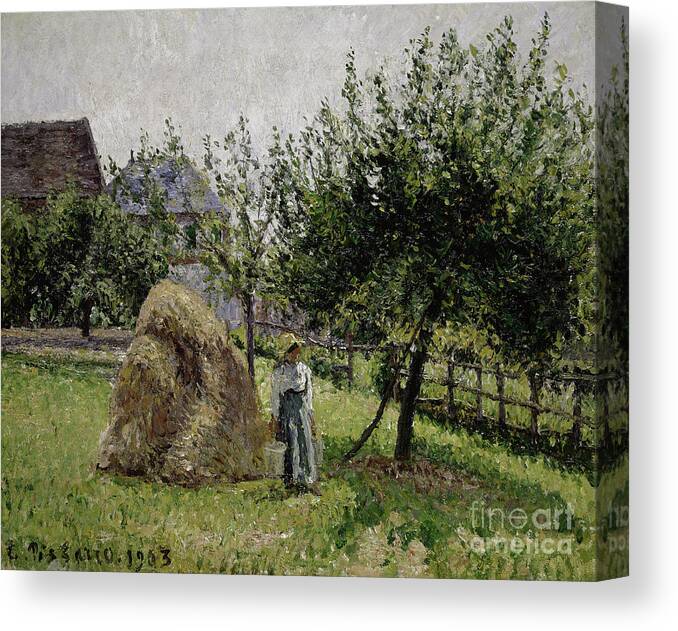 Camille Pissarro Canvas Print featuring the painting Apple Trees in Eragny, Sunny Morning, 1903 by Camille Pissarro