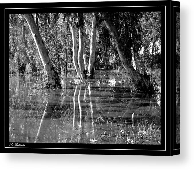 Swamp Canvas Print featuring the photograph At the swamp 2 by Arik Baltinester