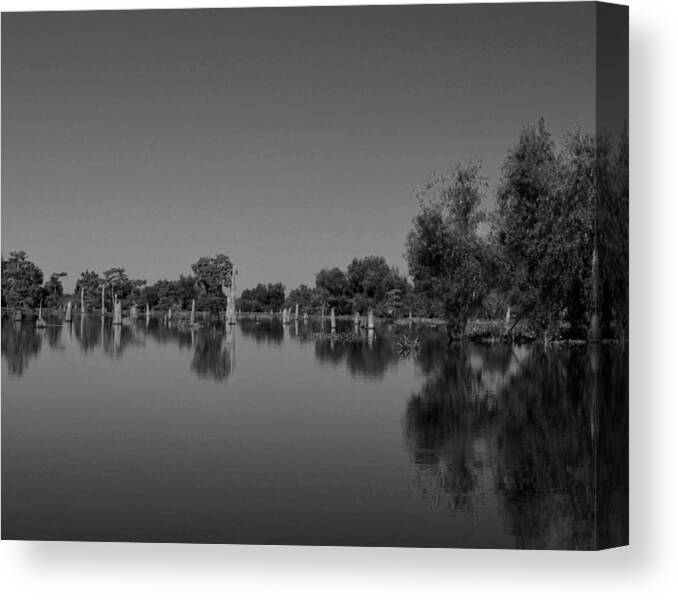 Tree Canvas Print featuring the photograph Atchafalaya Basin 15 Southern Louisiana by Maggy Marsh