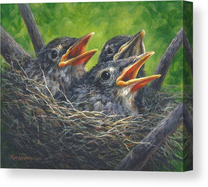 Baby Robins Canvas Print featuring the painting Baby Robins by Kim Lockman