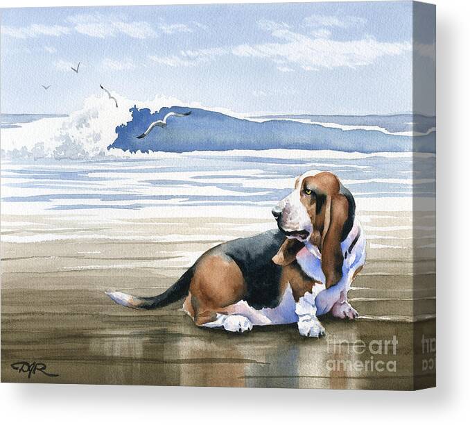 Basset Hound Canvas Print featuring the painting Basset Hound At The Beach by David Rogers