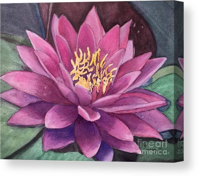 Flower Canvas Print featuring the painting Beautiful Water Lily by Sue Carmony