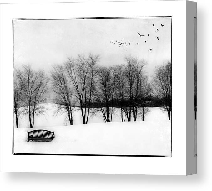 Snow Canvas Print featuring the photograph Bench in the Snow by Karen Castillo