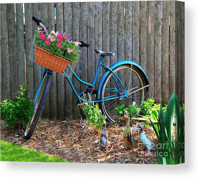 Bicycle Canvas Print featuring the photograph Bicycle Garden by Perry Webster
