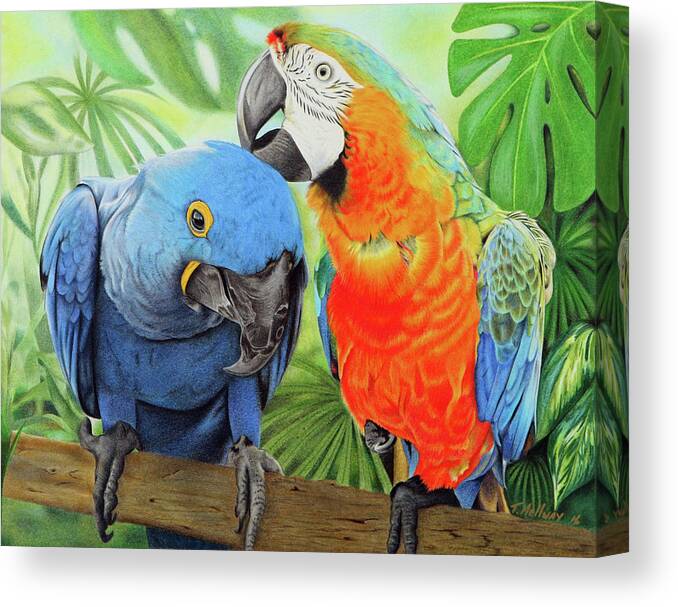 Birds Canvas Print featuring the drawing Birds of a Feather by Terry Mellway