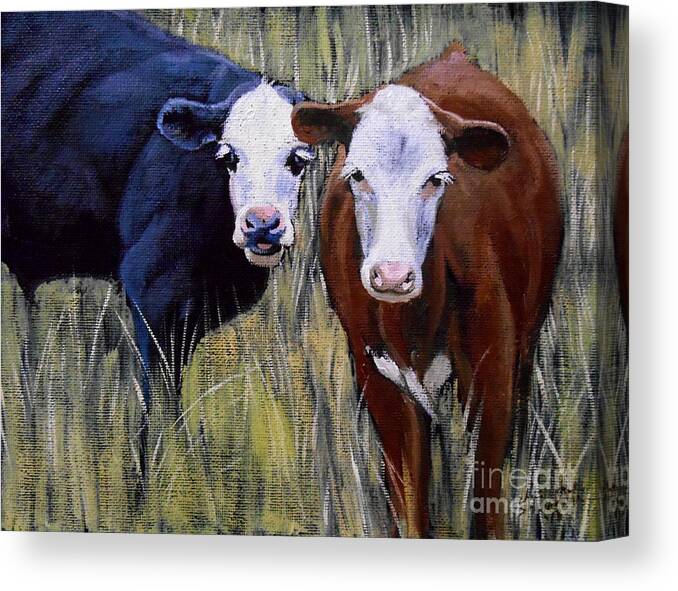 Cow Canvas Print featuring the painting Black and Brown Cow by Christopher Shellhammer