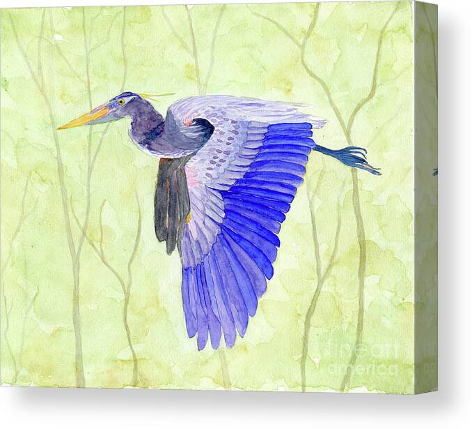 Heron Canvas Print featuring the painting Blue Heron in Flight by Anne Marie Brown