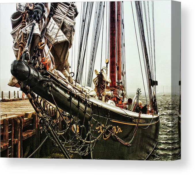 Bluenose Canvas Print featuring the photograph Bluenose by Tatiana Travelways