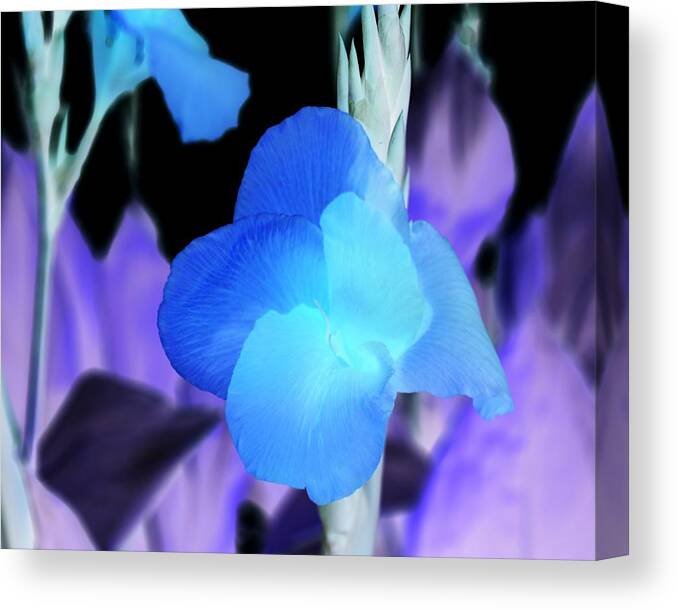 Floral Canvas Print featuring the photograph Blurple Field by James Granberry
