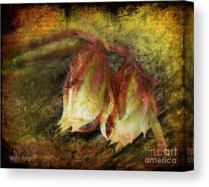 Flowers Canvas Print featuring the digital art Breath of Life by Rhonda Strickland