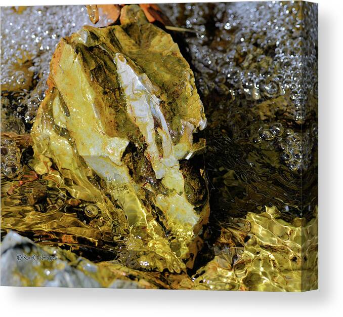 Rock Canvas Print featuring the photograph Bright Rock in Stream by Kae Cheatham