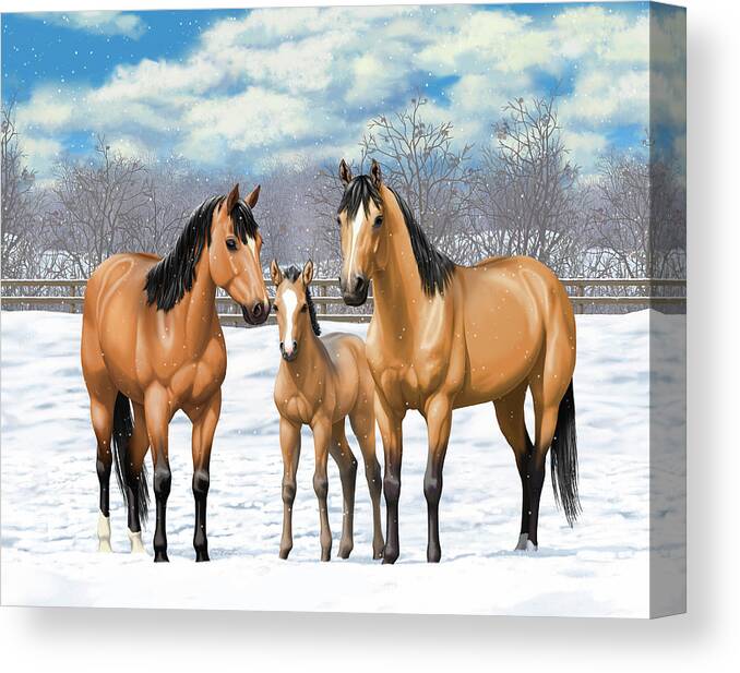 Horses Canvas Print featuring the painting Buckskin Horses In Winter Pasture by Crista Forest