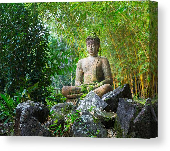 Asian Canvas Print featuring the photograph Buddha statue in bamboo forest by Steven Heap