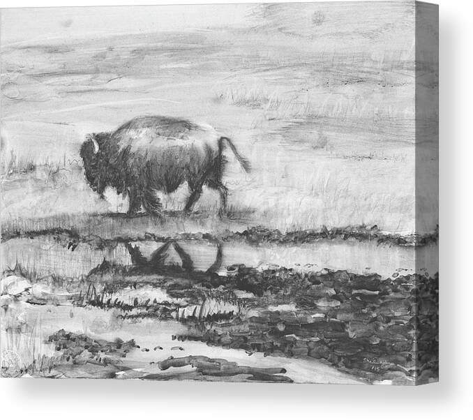 Buffalo Canvas Print featuring the painting Buffalo Reflection by Sheila Johns