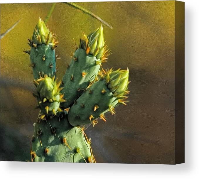 Arizona Canvas Print featuring the photograph Cactus Buds op52 by Mark Myhaver