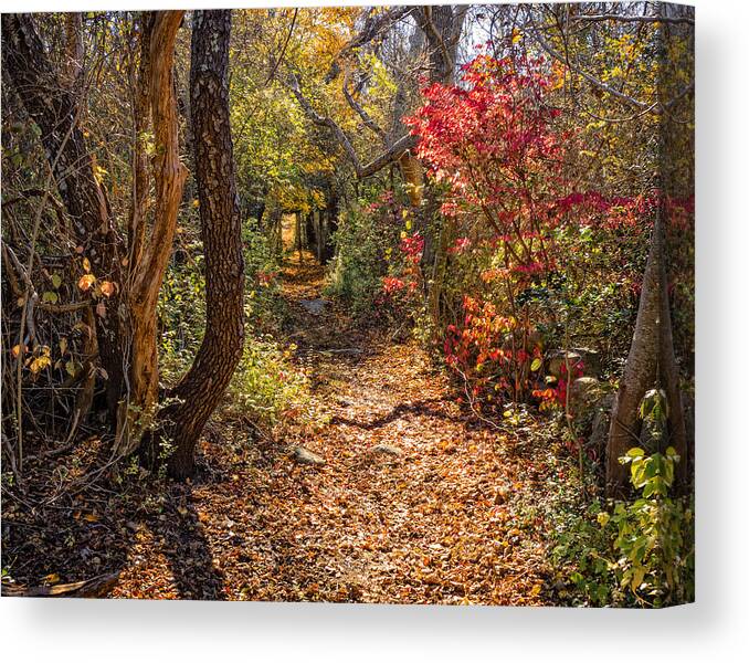 Barnstable Canvas Print featuring the photograph Cape Cod Path by Frank Winters