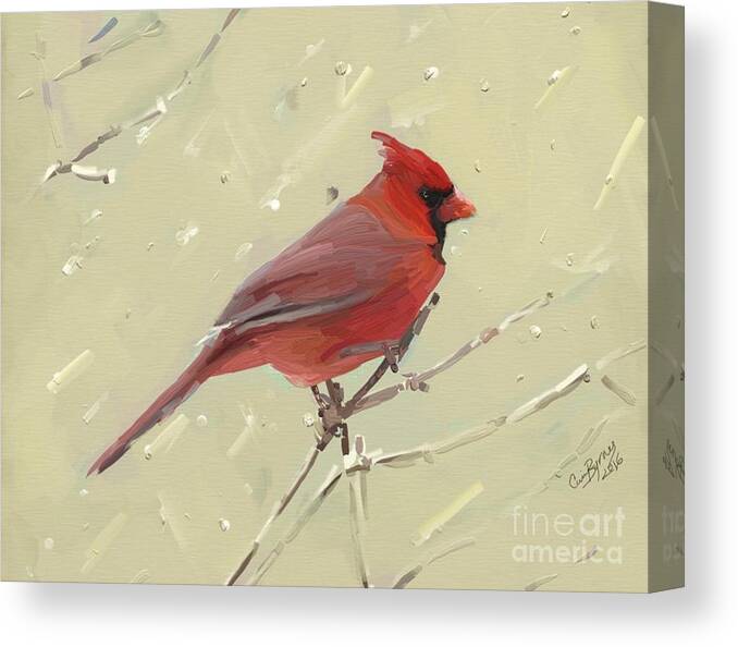 Cardinal Canvas Print featuring the painting Cardinal by Carrie Joy Byrnes