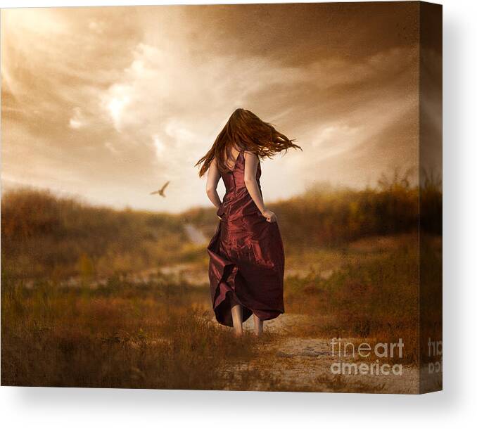 Digital Art Canvas Print featuring the photograph Chasing Peace by Alissa Beth Photography
