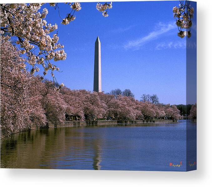 Scenic Canvas Print featuring the photograph Cherry Blossoms on the Tidal Basin 15J by Gerry Gantt