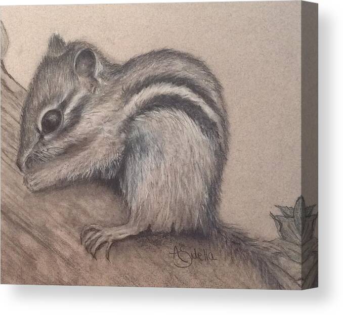 Tennessee Wildlife Canvas Print featuring the drawing Chipmunk, TN Wildlife Series by Annamarie Sidella-Felts